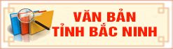Văn bản tỉnh BN.jpg